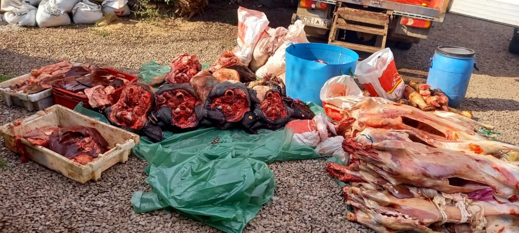 3907e937 c1dd 4a8a a532 aa7d7f1e3c1e