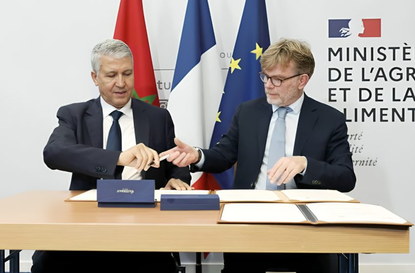 فرنسا المغرب: توقيع اتفاق إداري للتعاون في مجال التكوين التقني والمهني الفلاحي اتفاقية بين المغرب فرنسا محمد صديقي 850x560