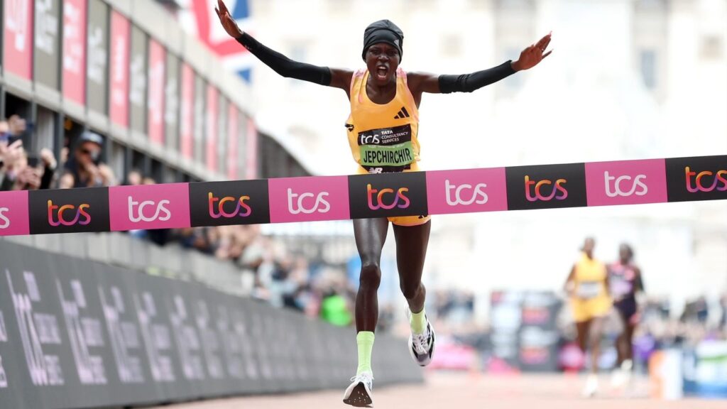 3952940 80272508 2560 1440 1536x864