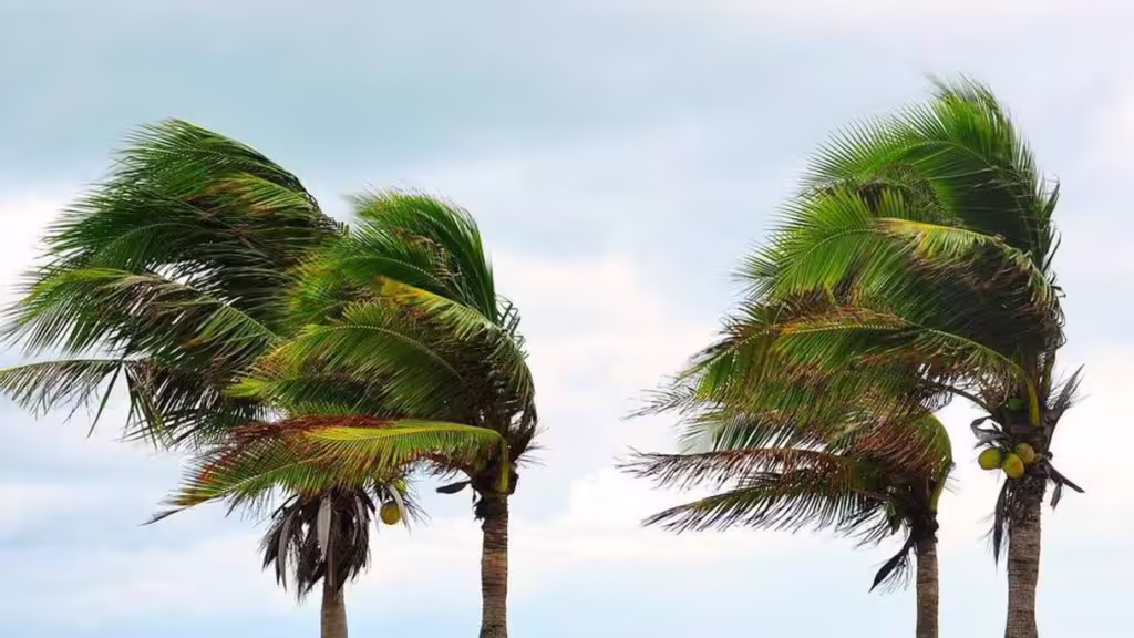 7kjuogxnnbfzbivzglazgvstri