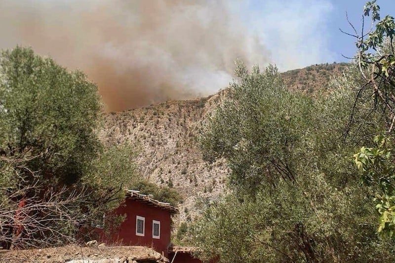 حرائق غابوية «قصوى» مُرتقبة بعدة أقاليم المملكة Incendie foret 1