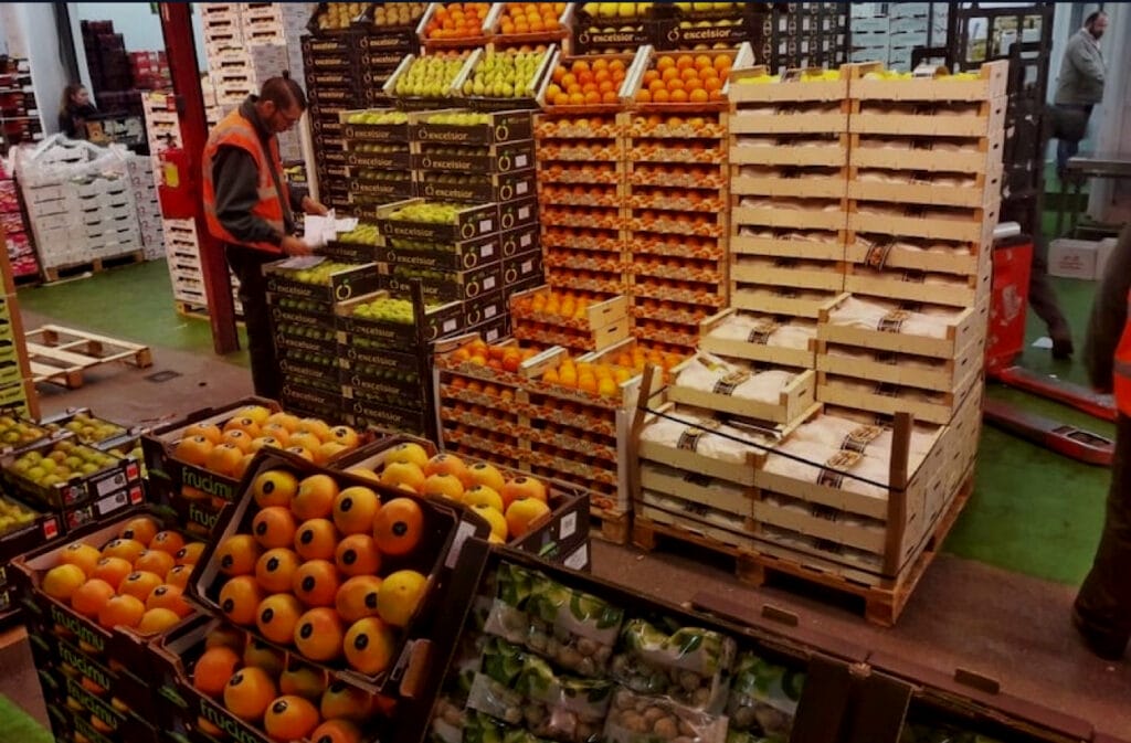 صادرات الفلاحة المغربية تصمد أمام تحديات الجفاف Img 0804