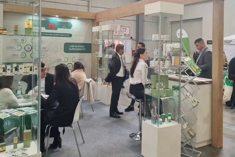 المغرب يشارك في معرض “Cannafest” للقنب والأعشاب الطبية ببراغ Cannabis 5