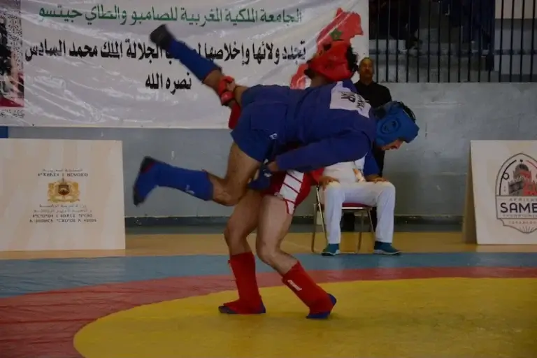 Sambo et Tai Jitsu