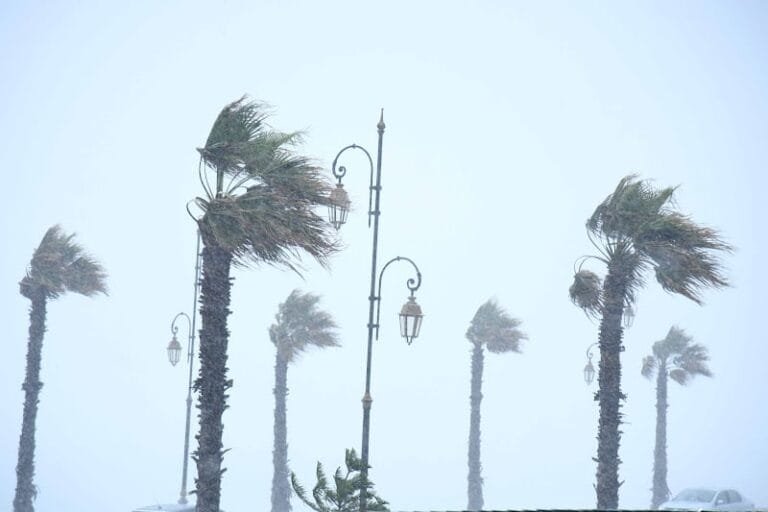 منخفض “جانا” يجلب أمطاراً وثلوجاً إلى المغرب Img 5218