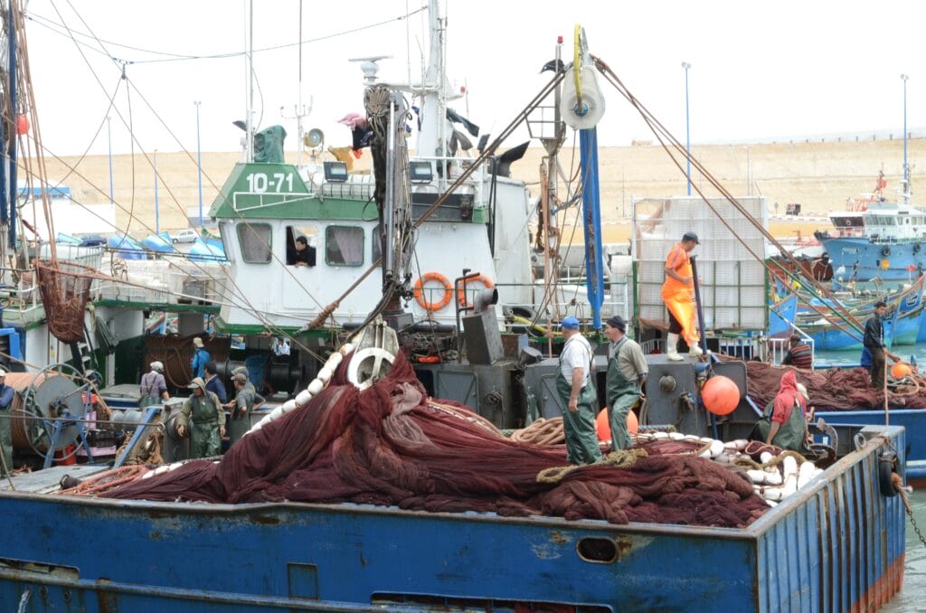 دراسة تكشف تحديات قطاع الصيد البحري في المغرب Boujdour portyy