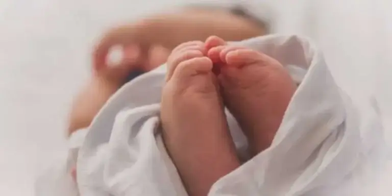 Cadavre bebe