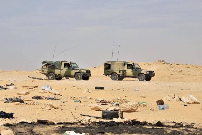 المركبات الذكية.. سلاح إفريقيا الجديد Guerguarat