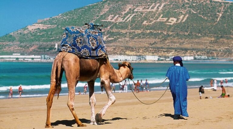 وزارة السياحة