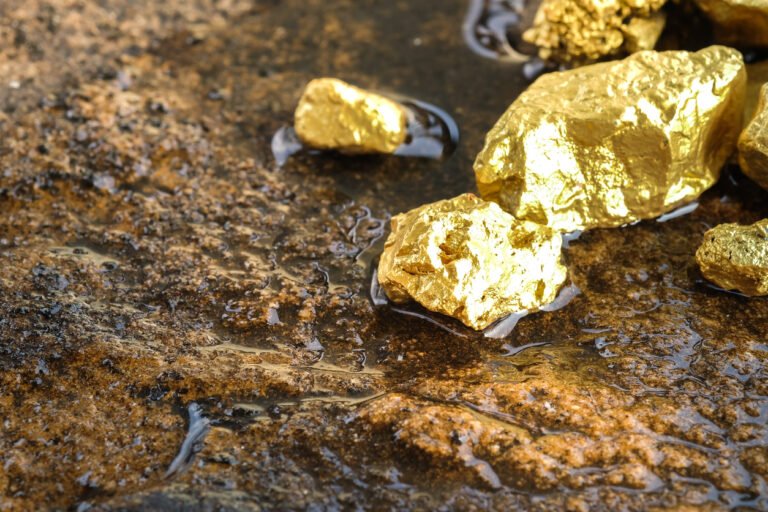 كلميم.. اكتشاف عروق غنية بالذهب يعزز الآفاق التعدينية بالمغرب The pure gold ore found in the mine on a stone floor