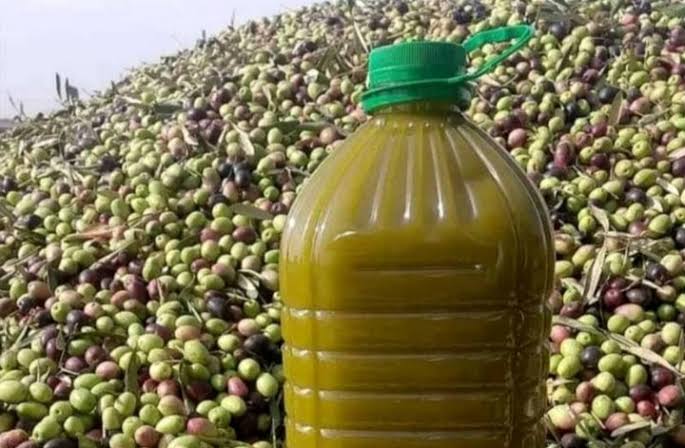 موسم الزيتون يبشّر بانخفاض الأسعار Img 9744