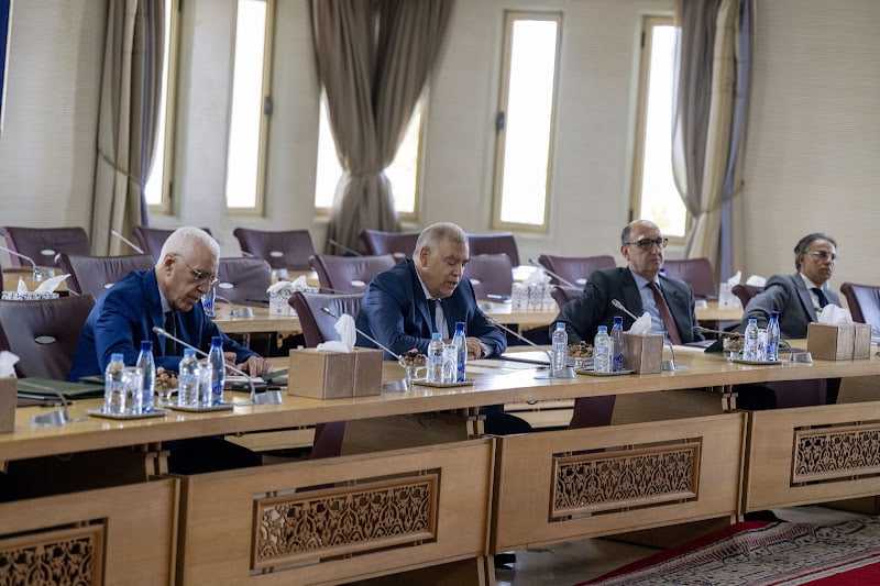 لفتيت يعقد اجتماعا مع رؤساء الجهات حول الجيل الجديد من برامج التنمية الترابية المندمجة Img 5690