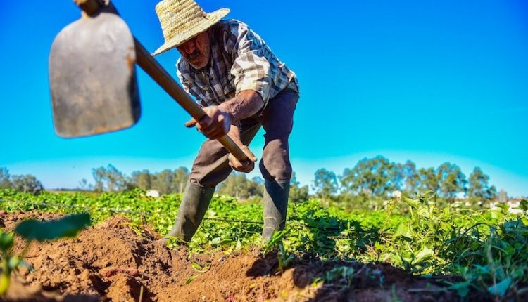 الاقتصاد المغربي في 2025: نمو مستقر رغم تباطؤ طفيف ودور حاسم للفلاحة Img 9482