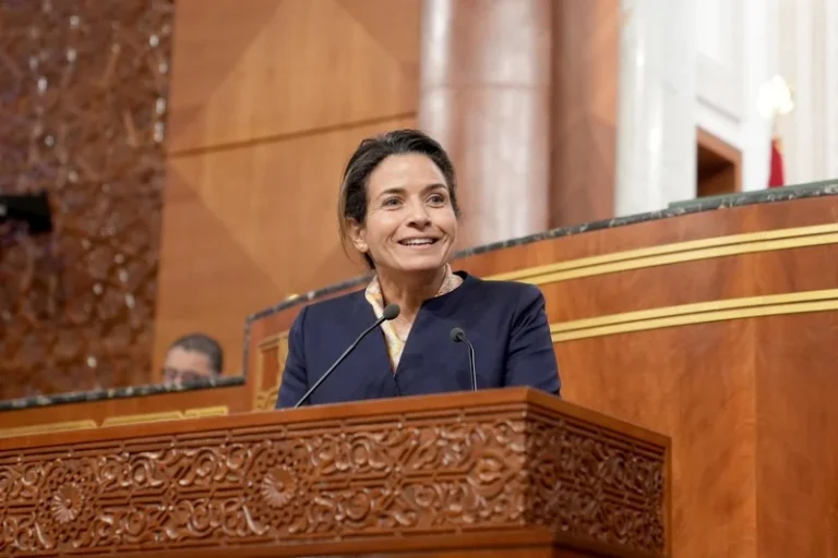 بنعلي تكشف مخططا بستة مليارات لتعزيز تخزين المحروقات Img 2651