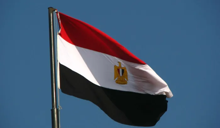 مصر تستنكر المخططات الإرهابية التي استهدفت أمن المغرب وتؤكد تضامنها مع المملكة IMG