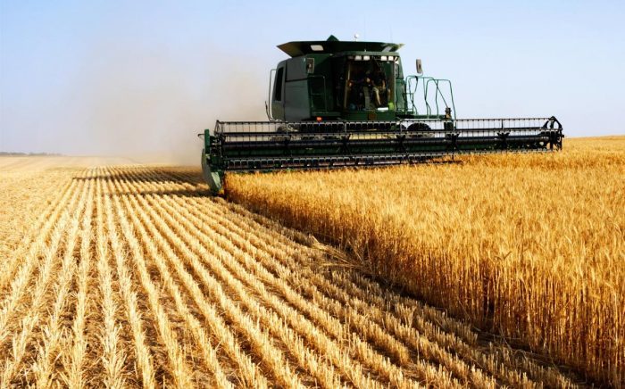 تقييم مرحلي لاستراتيجية “الجيل الأخضر”: نحو تسريع الإصلاحات ودعم الفلاحين Agriculture pays arabes oada 9 e1616442757439