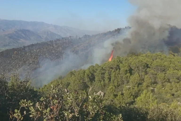 Incendie foret jbel lakraa taounat1