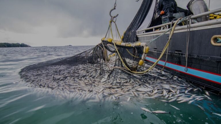 Peche maritime maroc