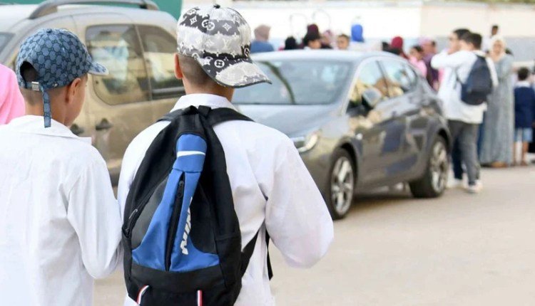 العودة إلى العمل والدراسة.. كيف نتجنب ضغط مرحلة الدخول؟ IMG